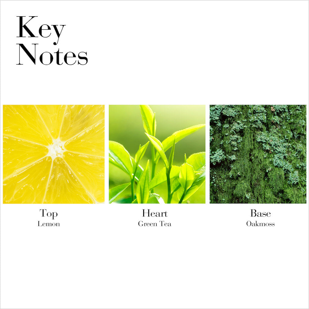 GREEN TEA SCENT SPRAY 100ml